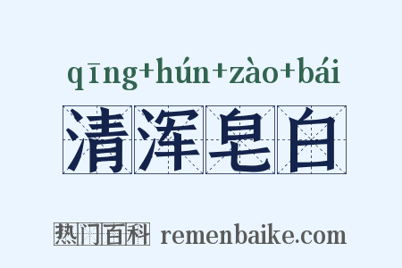 清浑皂白是什么意思的图片
